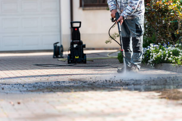 Best Power Washing Near Me  in Minneota, MN