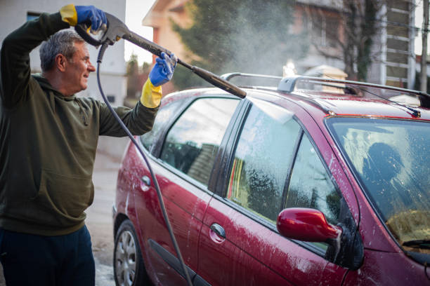Best Best Pressure Washing Companies  in Minneota, MN